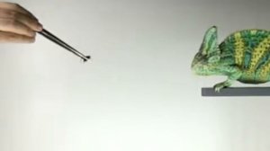 хамелеон ест сверчка смоумо