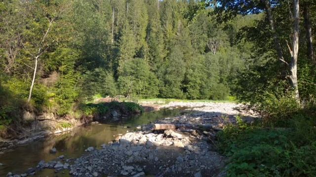 шум горной реки, звуки сна для расслабления The Sound Of A Mountain River, Sleep Sounds For Relaxat