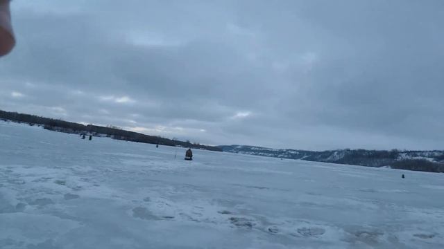 сопа стригино смотреть онлайн