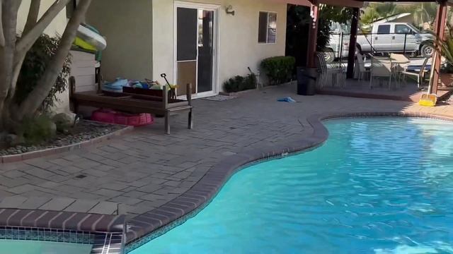 Trees to avoid planting by your swimming pool. смотреть онлайн