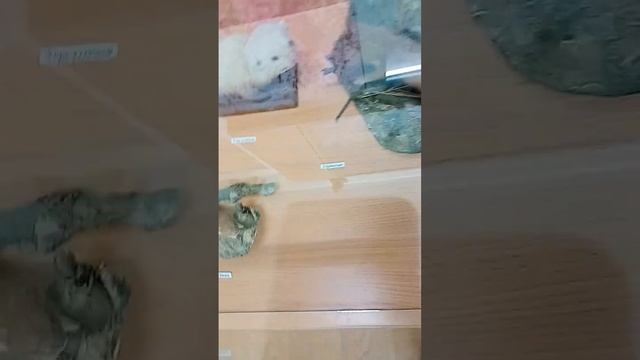Курский краеведческий музей смотреть онлайн