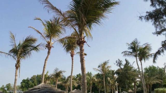 Ajman Hotel, пляж, сентябрь 2023