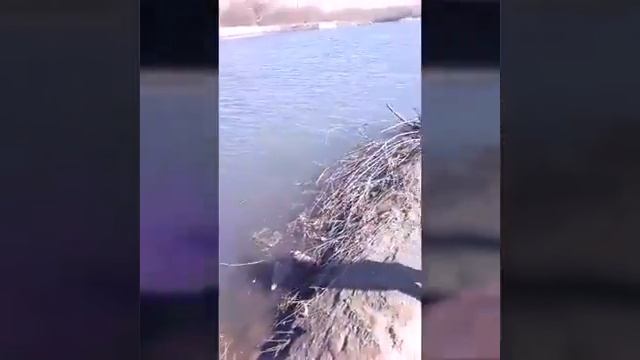 Настя ловит рыбу 🐟 🐟 🐟