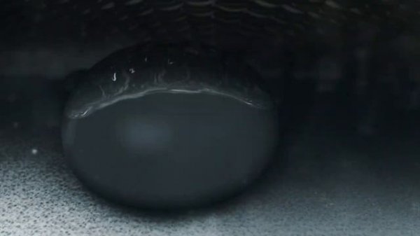 What is GORE-TEX Product Technology