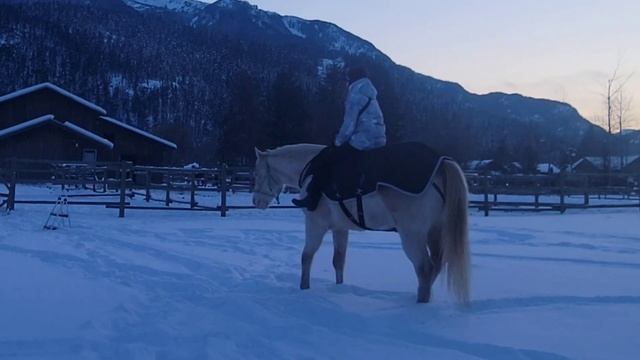 Liberty work on Cordeo/Neckrope смотреть онлайн