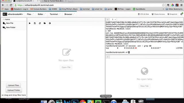 How To Tunnel Ports Between Your Terminal and Local Machine смотреть онлайн