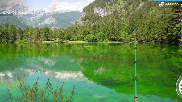 Ловим Окунья И сома Рыбалка MFW