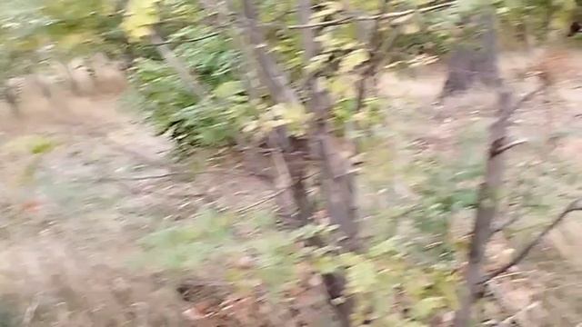 Осенний этюд. Река близ Старой Ласпы. смотреть онлайн