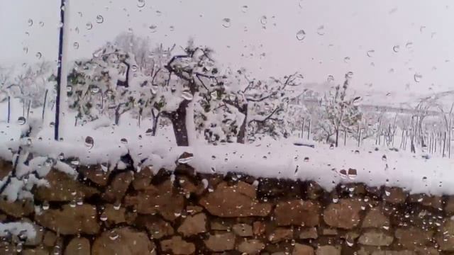 200417 совсем без слов смотреть онлайн