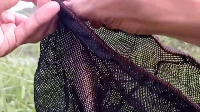 Tidak banyak yg tahu kalau Spot sekecil ini dihuni banyak predator kelaparan смотреть онлайн