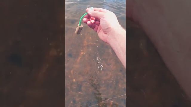 Как поймать Сома на Винную пробку. Рыбалка. смотреть онлайн