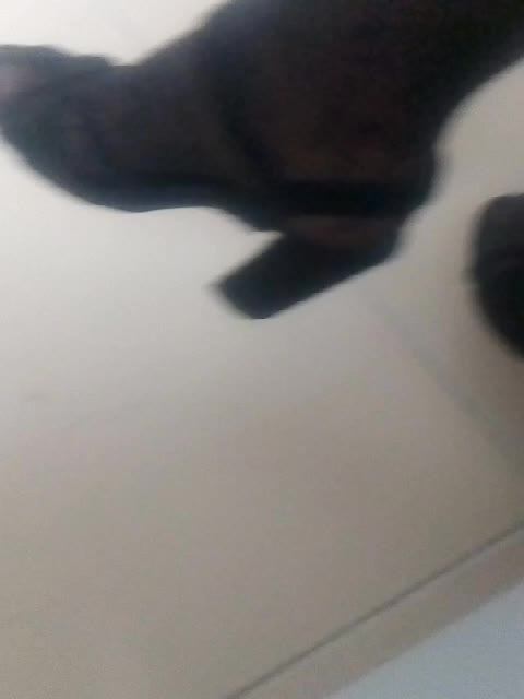 нео парк смотреть онлайн