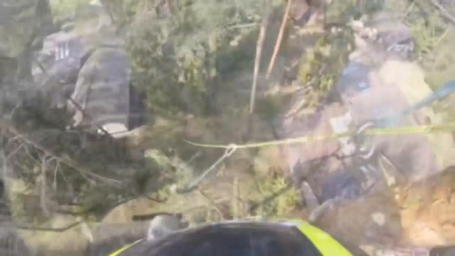 Speed Line Tree , Arborist . Rope Line For Brunch. Спил Дерева Частями, спуск веток на верёвке.