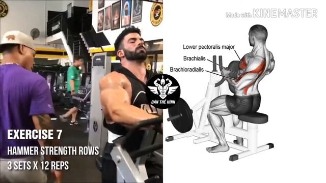 12 Exercises To Build Up A Big Back,  Just Do It!