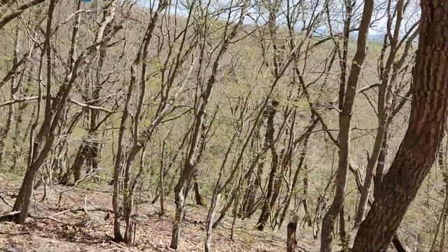 ЭндуроСкил 1лвл VS Куматырь 16.04.2022 ч1 смотреть онлайн