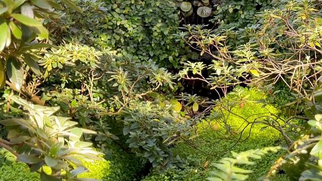 Куда сходить в Питере? Встреча с Мариной Могилко! смотреть онлайн