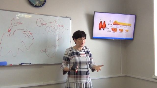 часть 3. Иммунитет. Базовые знания. Заржицкая Т. Владивосток смотреть онлайн