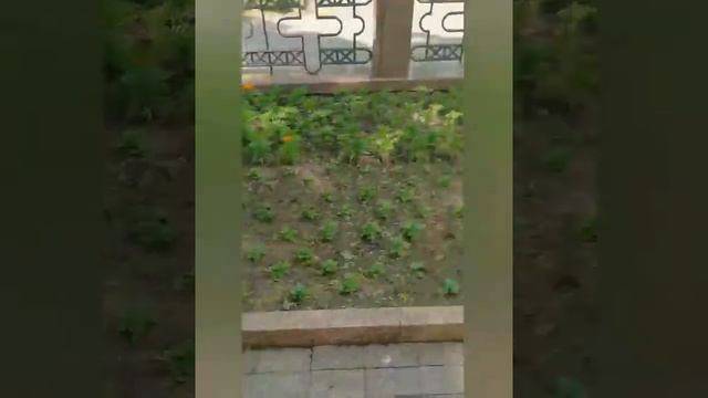 Маршрут выходного дня смотреть онлайн