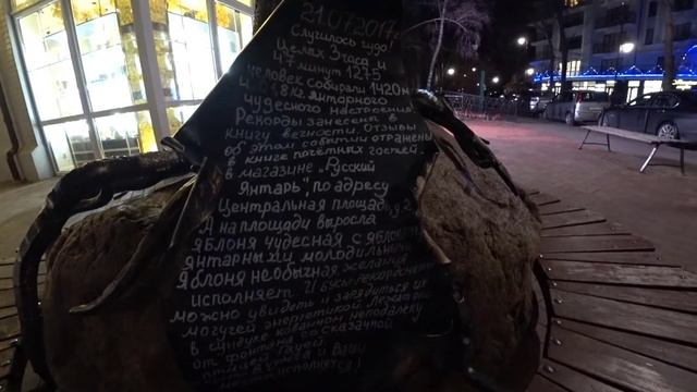 43. Светлогорск. Что там в темноте?