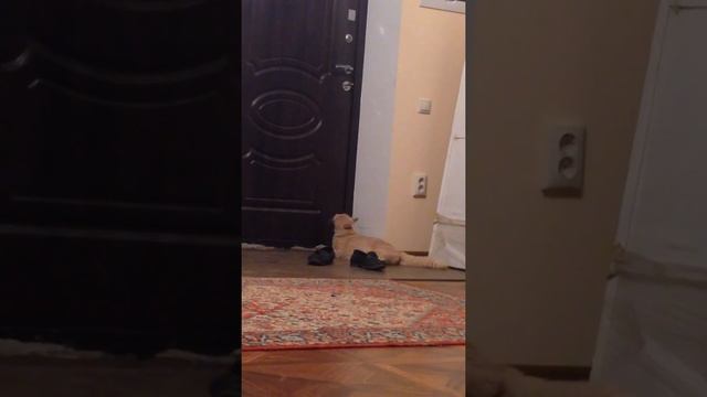 Откройте мне дверь :-( смотреть онлайн