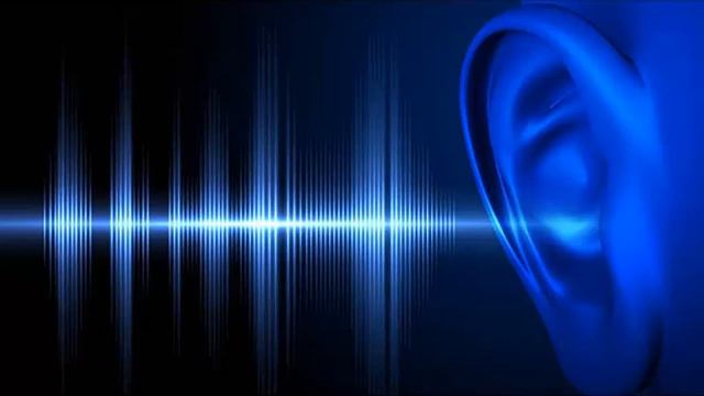 flauta traversa смотреть онлайн