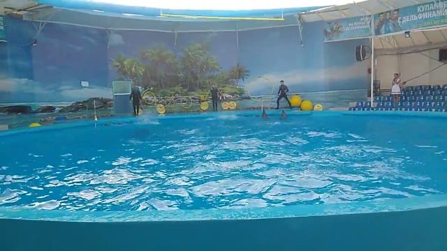 Дельфинарий Феодосия немо