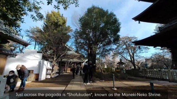 Japan Walker | Gotokuji & Maneki-Neko Shrine | Episode 1