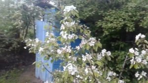 А есть ли жизнь на даче? Круглый год...( часть 2 ).