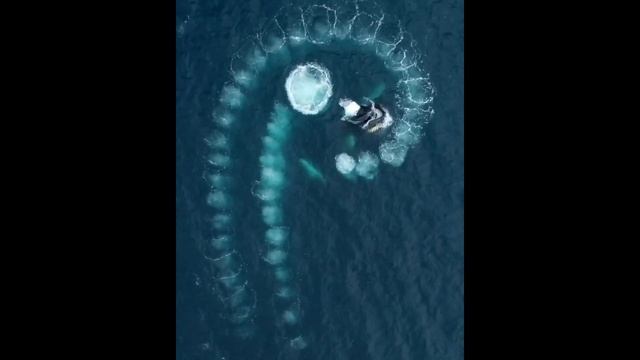 Nihilism Leads To the Desecration of Beauty explained | Metaphysics 101 смотреть онлайн