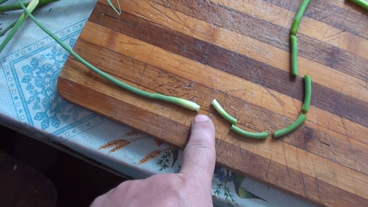 Стрелки чеснока - заготовка и хранение смотреть онлайн