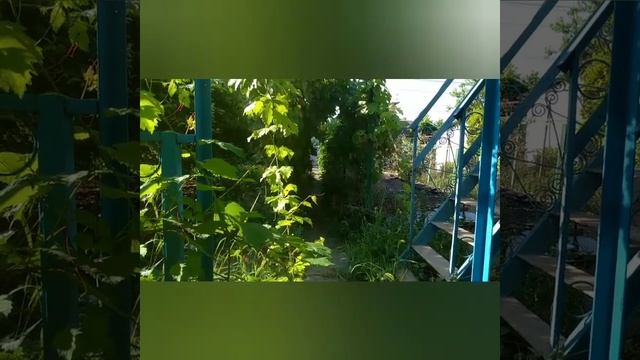 Одесса, 6 августа 2022 года. Нам не дано предугадать смотреть онлайн