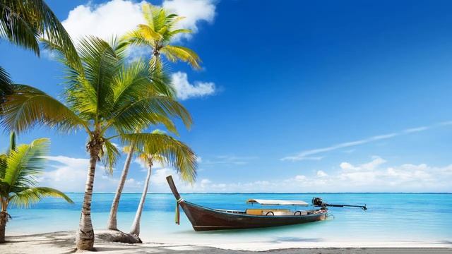 Online Radio Tropical Music | 24/7 | Livestream смотреть онлайн