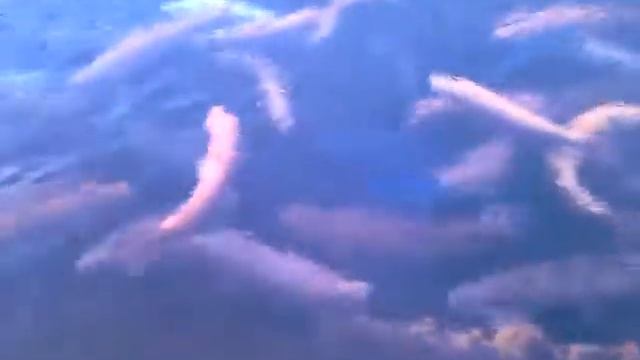 Форелевое хозяйство 25.02.2012.mp4 смотреть онлайн