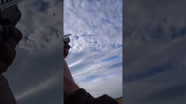 Лучшие Моменты на Охоте. Impala плюс смотреть онлайн