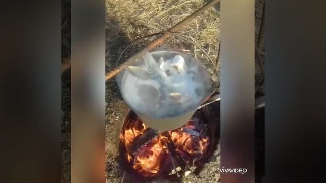 Клевый отдых смотреть онлайн