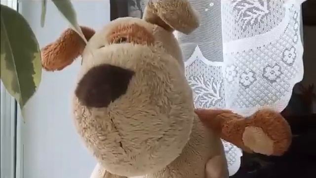 Дома не скучаем! смотреть онлайн