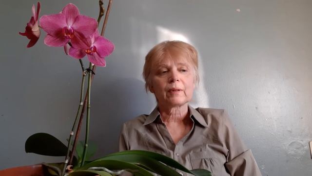 Повторение - мать ученья для инвестора. Некоторые советы.