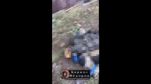 ⚡️СВО 18+ Восьмёрка ВСУшников из с.Ольговка Курской области смотреть онлайн