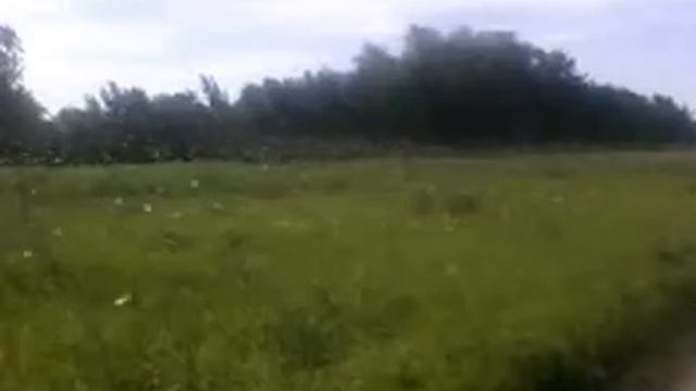 нашествие саранчи в харабалях смотреть онлайн