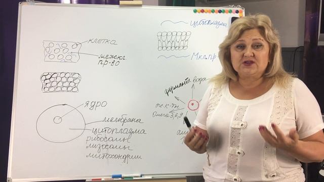 Азбука здоровья. Урок 12 Строение клетки смотреть онлайн