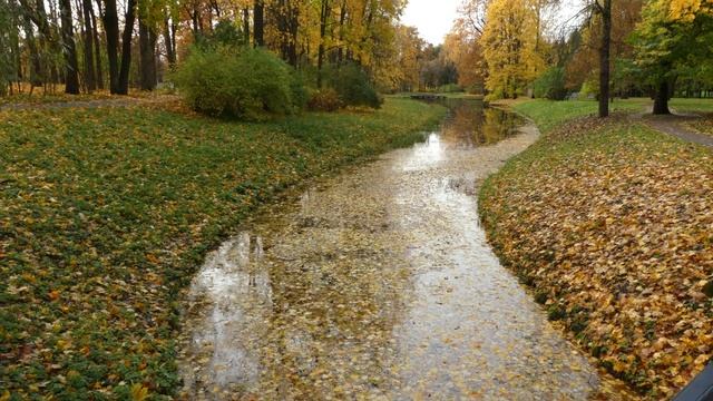 Пушкин осень 2017 смотреть онлайн