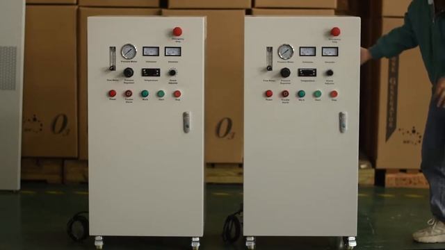 Feed Outside Oxygen Source Ozonated Water Generator 10 - 50g смотреть онлайн