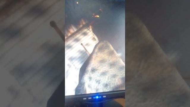 Как завести авто в май самер кар