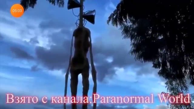 топ 30 сереноголовый снятых на камеру