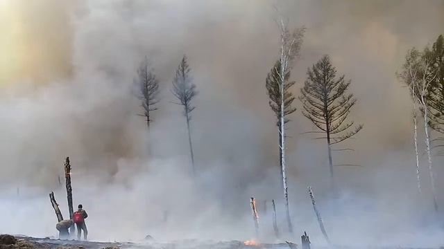 16 декабря 2018 г. смотреть онлайн