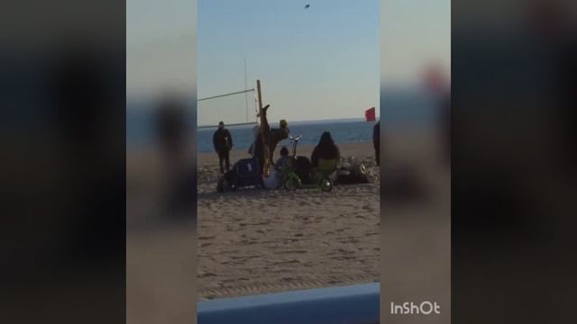 Рыба в Бруклине Нью-Йорк смотреть онлайн