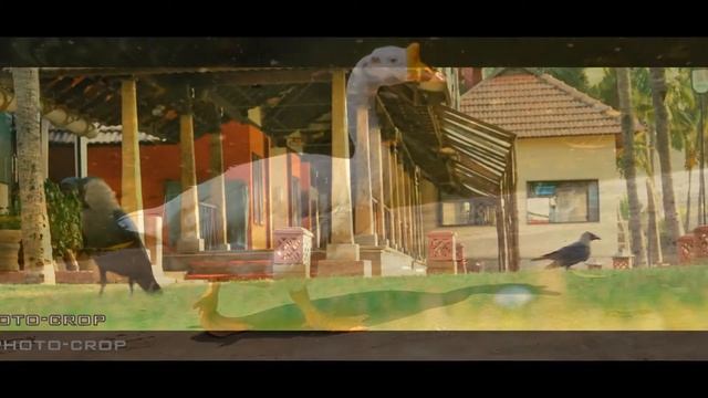 sk photo-crop смотреть онлайн