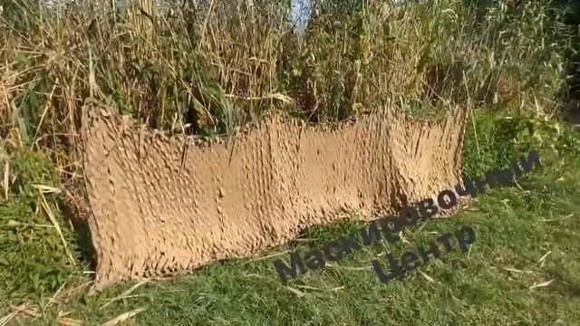 26 августа 2023 г.