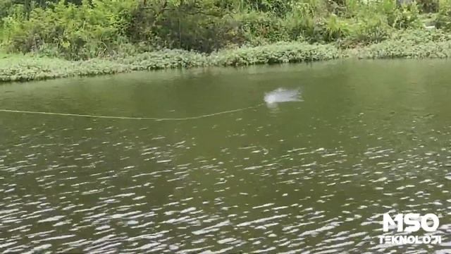 MSO Teknoloji Olta Balıkçılık 11Cm 15Gr Süper Yüzücü Popper Rapala Yem смотреть онлайн