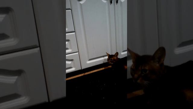 Хозяин смотреть онлайн